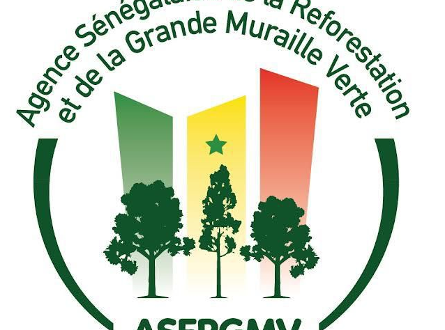 Avec le projet Sédo Vert, nous sommes en partenariat avec l'Agence Sénégalaise de la Reforestation et de la Grande Muraille Verte