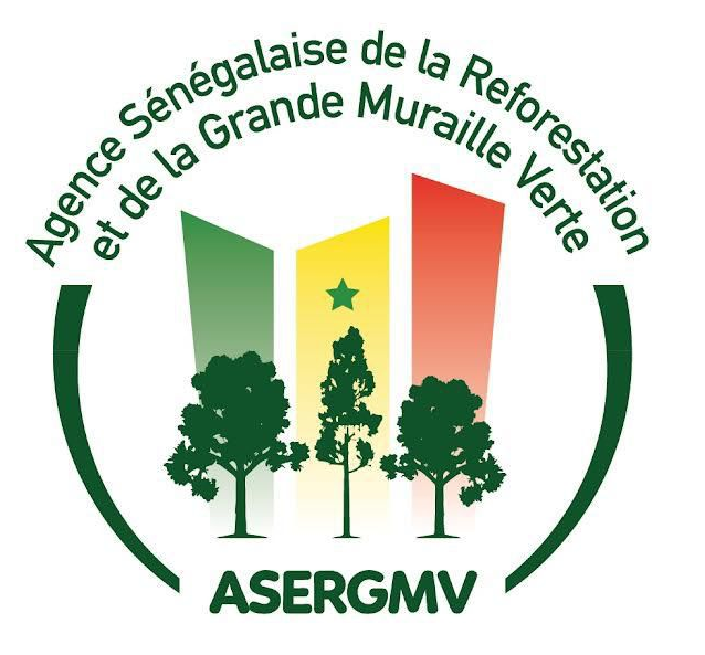 Avec le projet Sédo Vert, nous sommes en partenariat avec l'Agence Sénégalaise de la Reforestation et de la Grande Muraille Verte